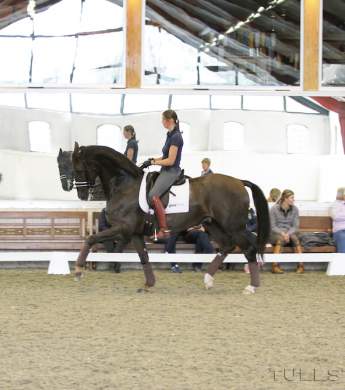 Image: 2015-08/1438945887_img-2582-kopia-1-kopia-.jpg