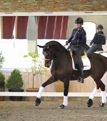 Image: 2015-08/1438946163_img-7694-hi-1vt.jpg