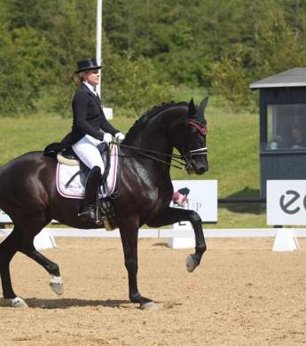 Image: 2015-08/1438946709_img-0196.jpg