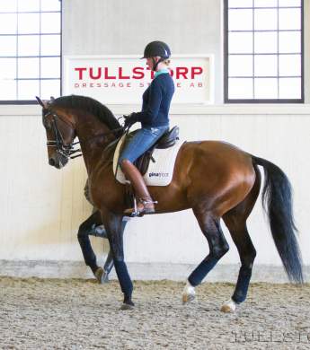 Image: 2015-08/1438947795_1977-catharinabrink-hi-1vt.jpg