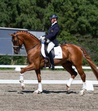 Image: 2015-08/1438948099_img-7190-hi-.jpg