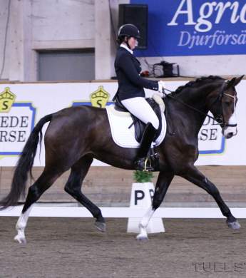 Image: 2015-08/1438954793_img-3487-kopia-1.jpg