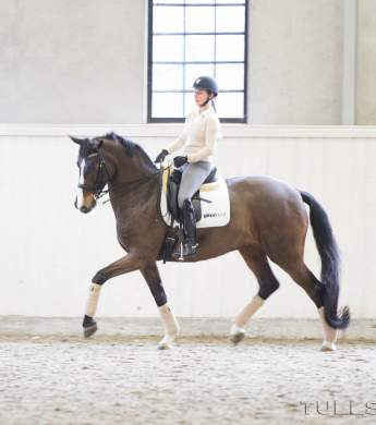 Image: 2015-08/1438955993_img-0365-kopia-1vt.jpg