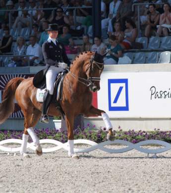 Image: 2015-08/1439991627_bild-4-1-.jpg