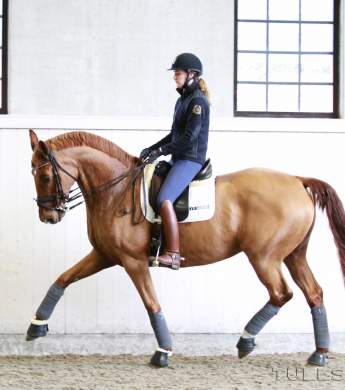 Image: 2015-08/1440413715_img-8832-kopia-1vt.jpg