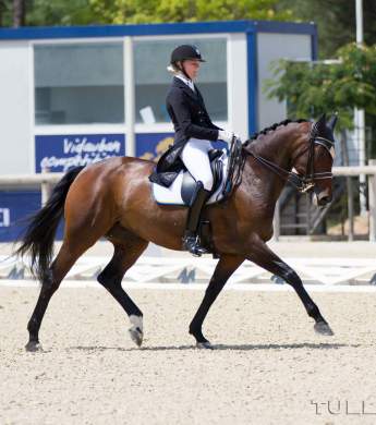 Image: 2015-08/1440498057_img-4984-hi-.jpg