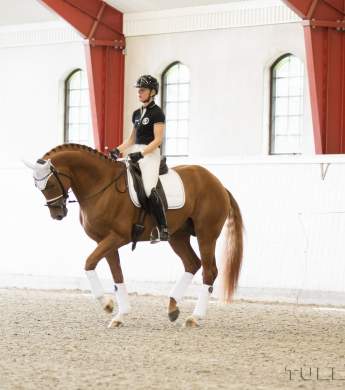 Image: 2015-09/1441115396_9661-catharinabrink-hi-1vt.jpg