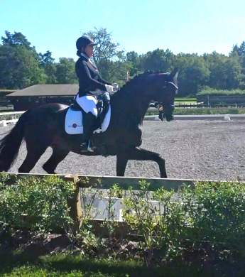 Image: 2015-09/1441710163_received-10153466878463808-red-.jpg