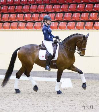 Image: 2015-10/1065-catharinabrink-hi-1vt.jpg