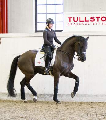 Image: 2015-10/1445864589_img-0854-kopia-1vt.jpg