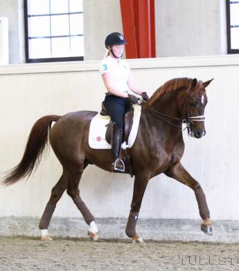 Image: 2015-10/1445868360_img-8705-kopia-1vt.jpg