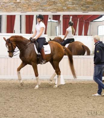 Image: 2015-11/1247-catharinabrink-hi-1vt.jpg