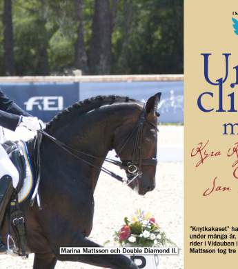 Image: 2015-11/bild-fr-n-cheval-media.jpg