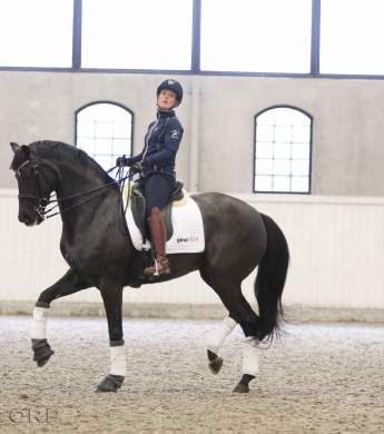 Image: 2016-01/1195-catharinabrink-hi-1vt.jpg