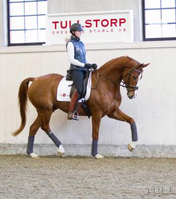 Image: 2016-02/3427-catharinabrink-kopia-1vt.jpg