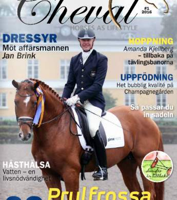 Image: 2016-02/framsida-cheval.jpg