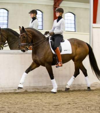 Image: 2016-02/img-1303-kopia-1vt.jpg