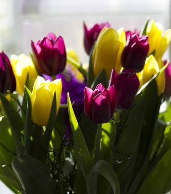 Image: 2016-03/3076-catharinabrink-low-.jpg