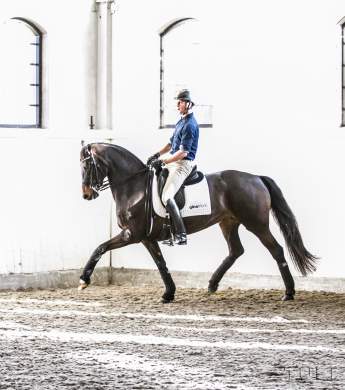 Image: 2016-04/2521-catharinabrink-hi-.jpg