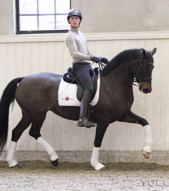 Image: 2016-04/2684-catharinabrink-hi-.jpg