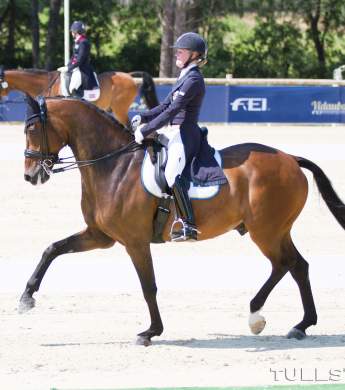 Image: 2016-04/emma-j-nsson-santo-domingo-hi-.jpg