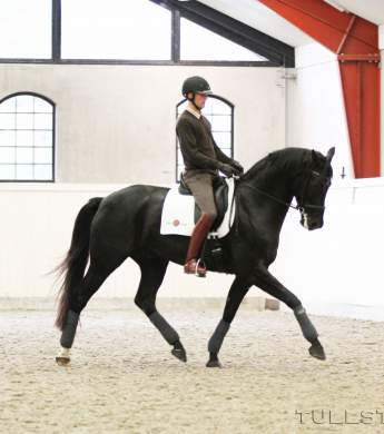 Image: 2016-05/img-7447-kopia-1vt.jpg