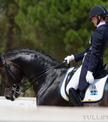 Image: 2016-06/img-5111-hi-.jpg