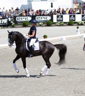 Image: 2016-07/6673-catharinabrink-1vt.jpg