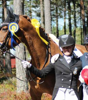 Image: 2016-08/1472560932_image-7-.jpeg