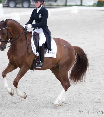 Image: 2016-08/6302-catharinabrink-1vt.jpg