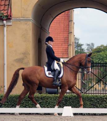 Image: 2016-08/charlotte-esping-ciwi.jpg