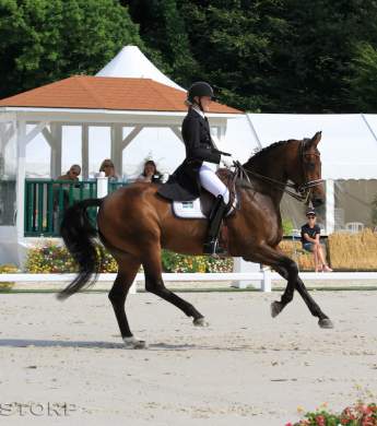 Image: 2016-09/1474012338_img-4853-2.jpg