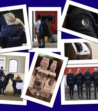 Image: 2016-09/collage-tribute-to-sponsors-2016.jpg