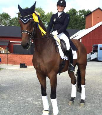 Image: 2016-09/img-3870-red-.jpg