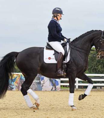 Image: 2016-10/copyright-horsemail.fi-margit-tickl-n-red-.jpg