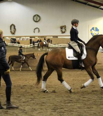 Image: 2016-10/img-1853-red-.jpg