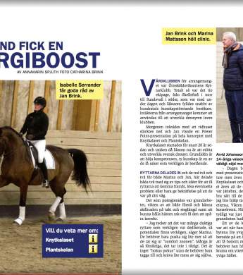 Image: 2017-02/cheval1.jpg