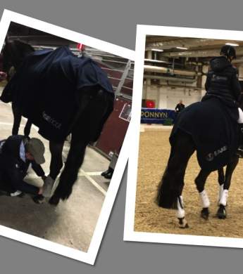 Image: 2017-02/collage-paulinda-scandinavium.jpg