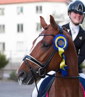 Image: 2017-04/1492089412_7269-catharinabrink-1vt.jpg