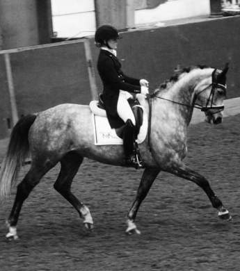 Image: 2017-04/1492599709_unknown-11-sv-.jpg