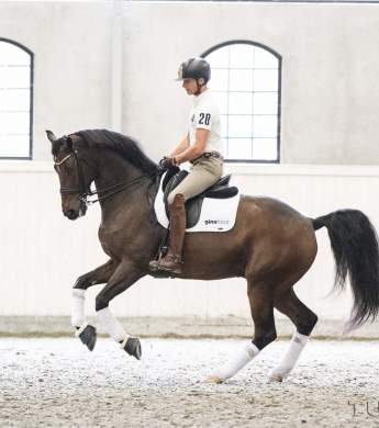 Image: 2017-04/5112-catharinabrink-1vt.jpg