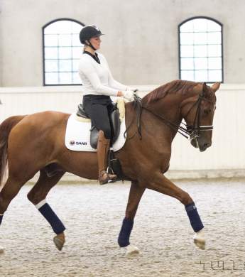 Image: 2017-04/6338-catharinabrink-1vt.jpg