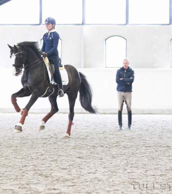 Image: 2017-04/8458-catharinabrink-1vt.jpg