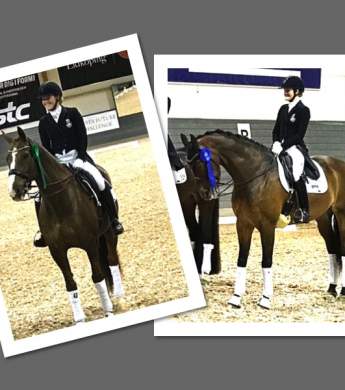 Image: 2017-04/collage-kk-lidk-ping.jpg