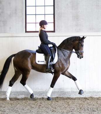 Image: 2017-05/5229-catharinabrink.jpg