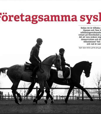 Image: 2017-05/bild-cheval-tove-1.jpg
