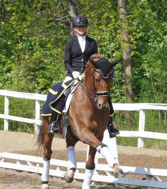 Image: 2017-05/djurg-rden-2.jpg