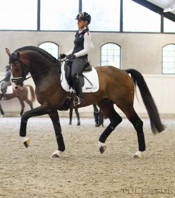 Image: 2017-09/1505396814_0193-catharinabrink-1vt-1vt.jpg