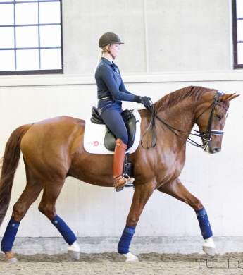 Image: 2017-09/2462-catharinabrink-hi-.jpg