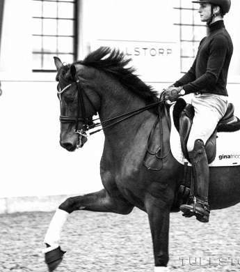 Image: 2017-09/6841-catharinabrink-1vt.jpg